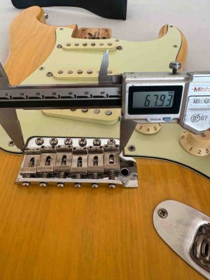 IMG_6169.jpeg IMG_6169.jpeg