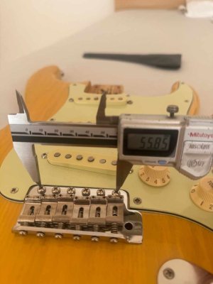 IMG_6170.jpeg IMG_6170.jpeg