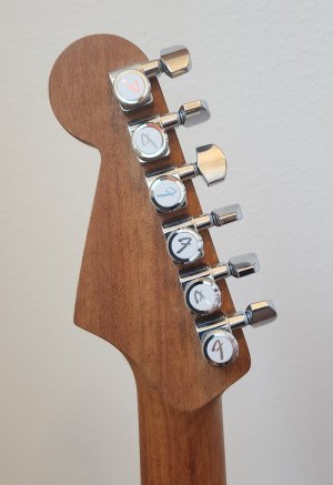 LR_Warmoth Jazzmaster 06.jpg LR_Warmoth Jazzmaster 06.jpg