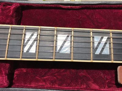 IMG_6339.jpeg IMG_6339.jpeg