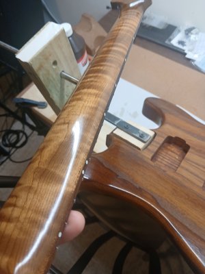 Neckfin1.jpg Neckfin1.jpg