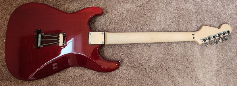 LR - Hentor - Completed Back.jpg