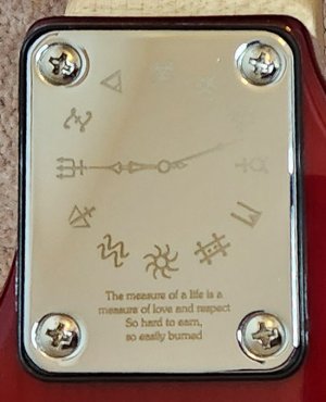 LR - Hentor - Neck Plate.jpg