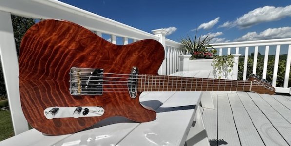 Sunday_RedwoodTele1.jpeg