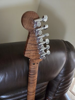 1773522571942.jpeg 1773522571942.jpeg