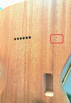 1774410632257.jpeg 1774410632257.jpeg