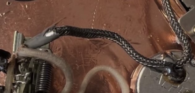 IMG_2727.jpeg IMG_2727.jpeg