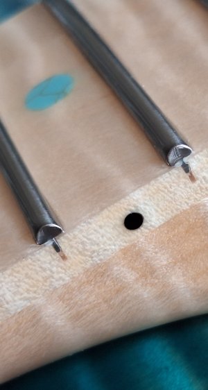 1000042020.jpg 1000042020.jpg