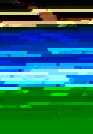 s6138c.jpg