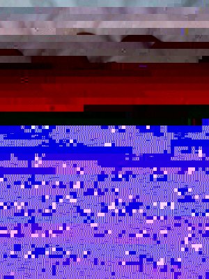 back1.JPG
