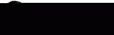 RG2011SCBK.gif