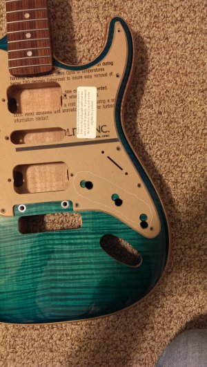 IMAG0562-m.jpg