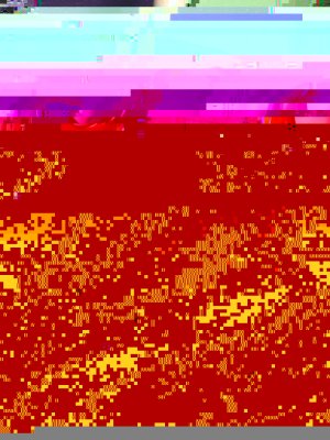 jef5OzcvP51zzfveIYD8mnBgpWMroDHeQ1YWF6RLDOM.jpg