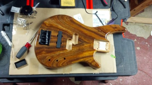 bridge n pickups.jpg