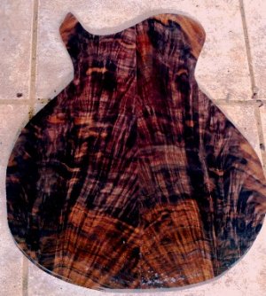 back 9 29 13.jpg