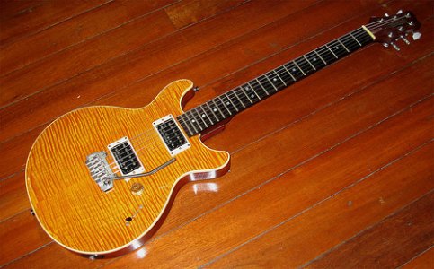 Warmoth LPS.jpg