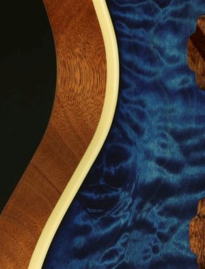 blue royale binding close up.jpg
