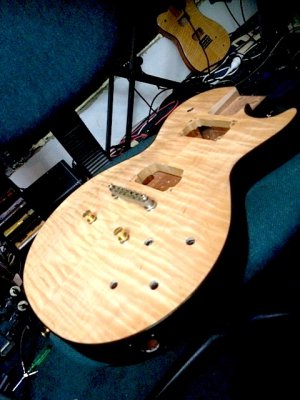 warmoth les side 3.jpg