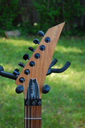 Shredder_headstock - small.jpg