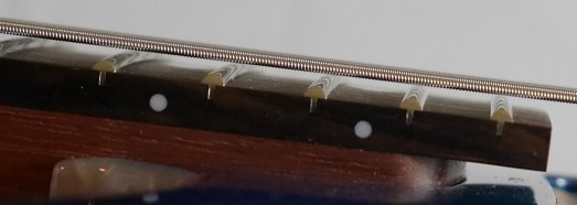 P1000356_neckOverhang.jpg