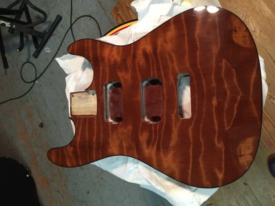 Warmoth Warhead Update.JPG