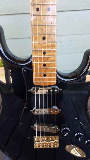 My Black and Gold Strat | Unofficial Warmoth Forum