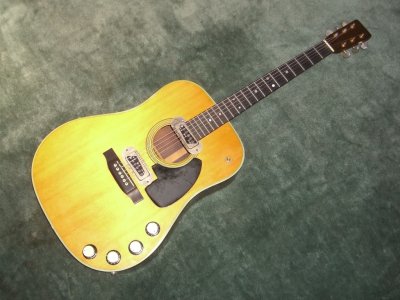 Martin D 28e.jpg