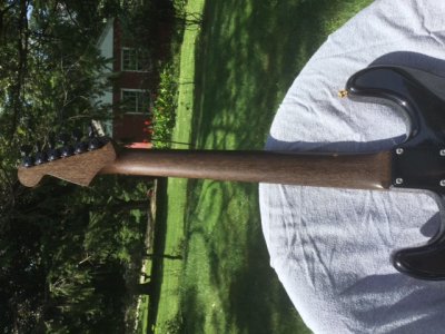Brazilian Ebony Neck.JPG