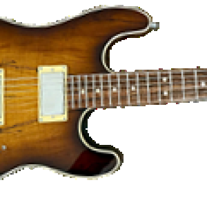 Media 'ghostrider.png' in album 'GOM Images'