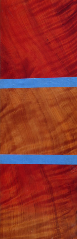 redwood1.jpg