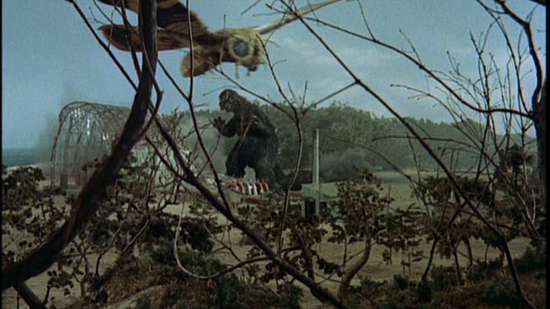 mothra-vs-godzilla-1.jpg