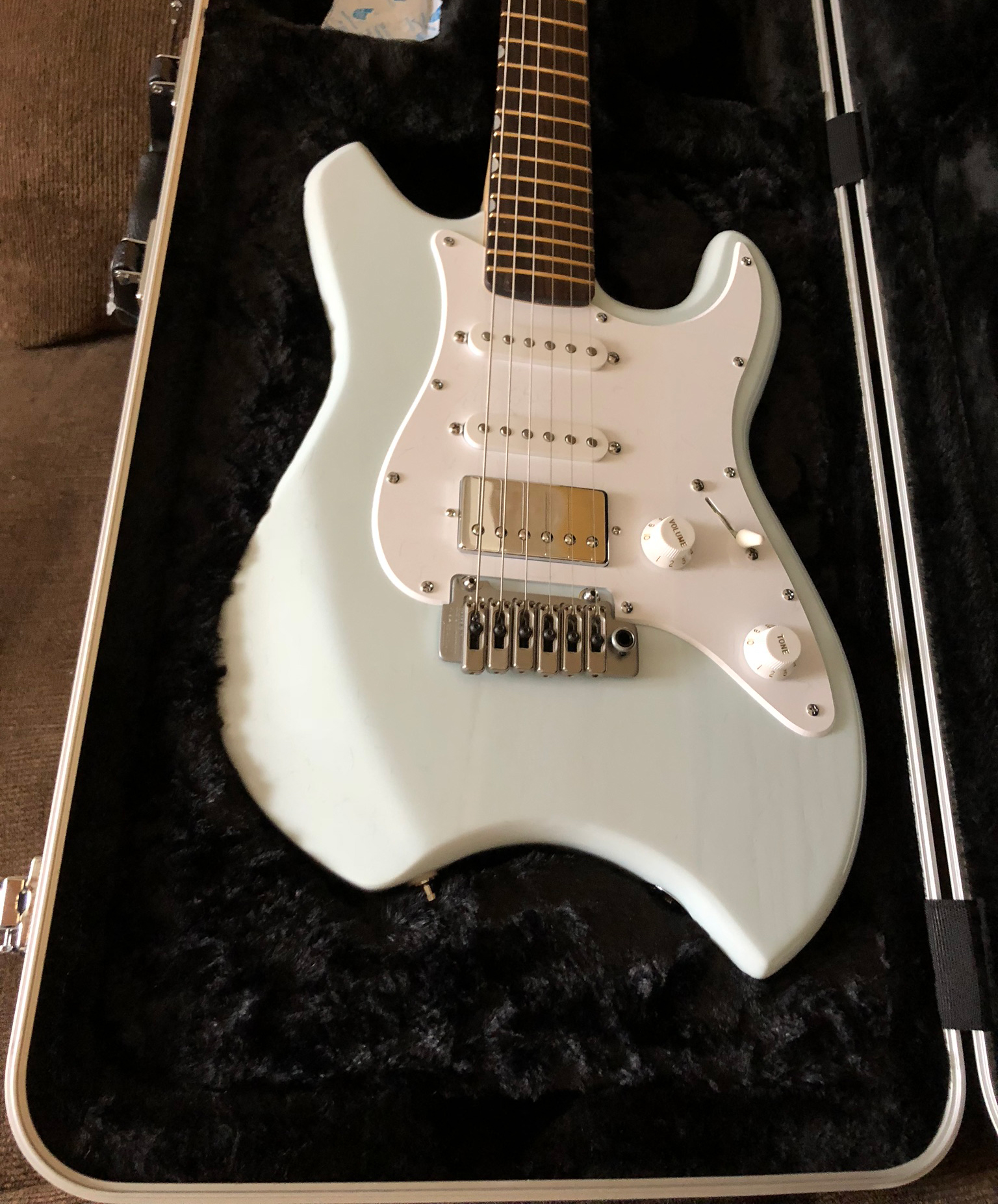 Musicaster_case.jpg
