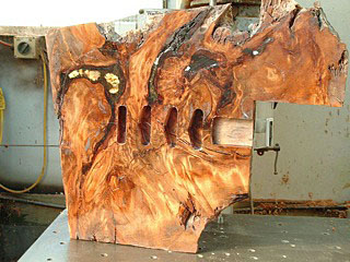 Kauri-Slab.jpg