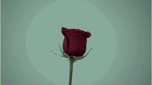 explosion-animated-gif-32.gif