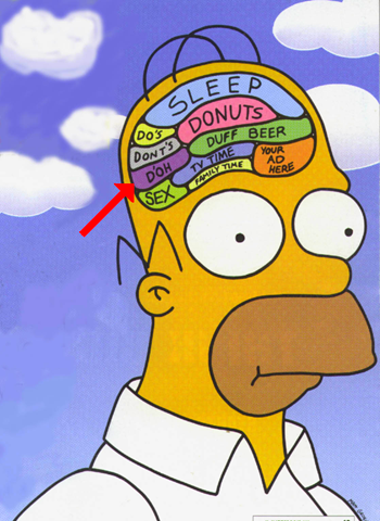 Homers_Brain.png