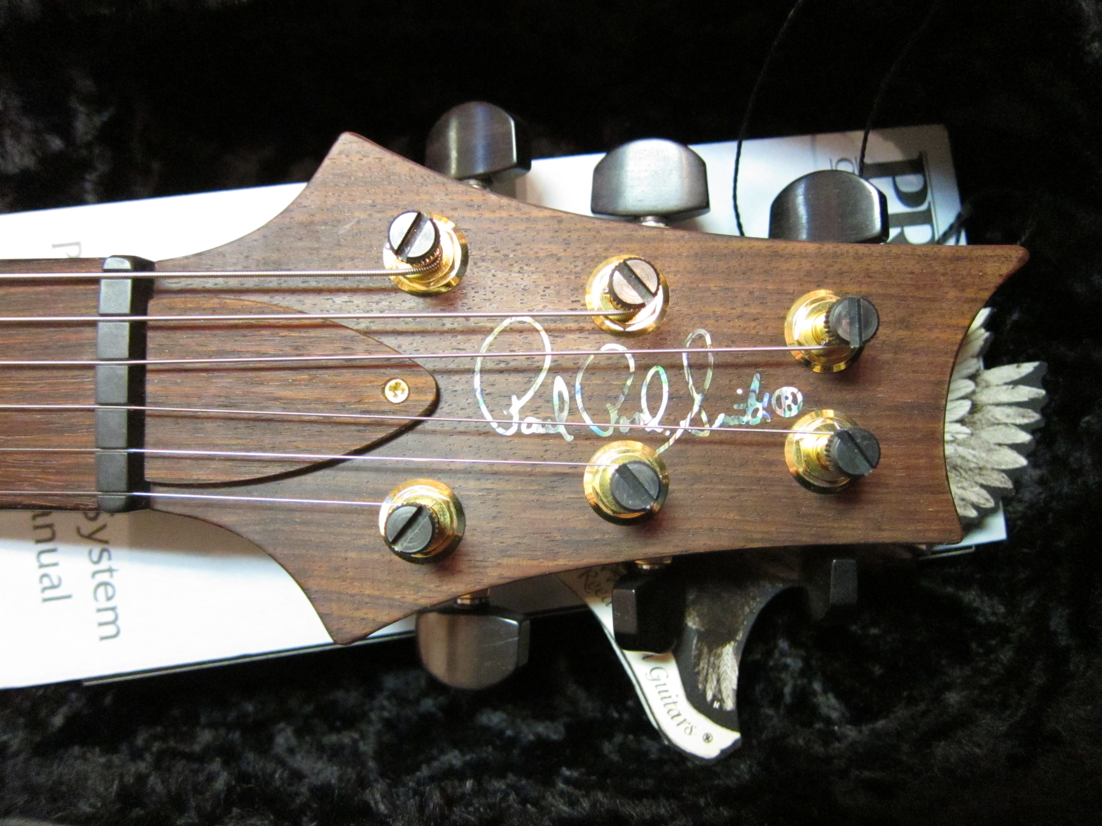Paul_Reed_Smith_%246000_Guitar_headstock.jpg