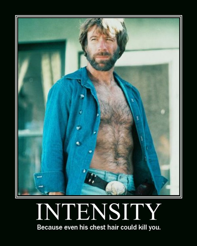 chuck-norris-3.jpg