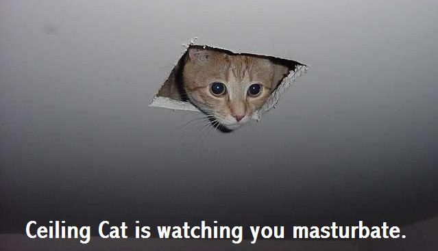 Ceiling_Cat_Watching.jpg