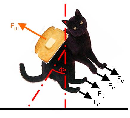436Cat_toast.jpg