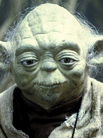 yoda.jpg