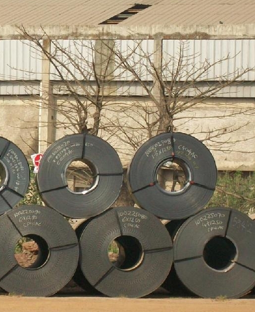 SteelCoilsWithTrees.jpg
