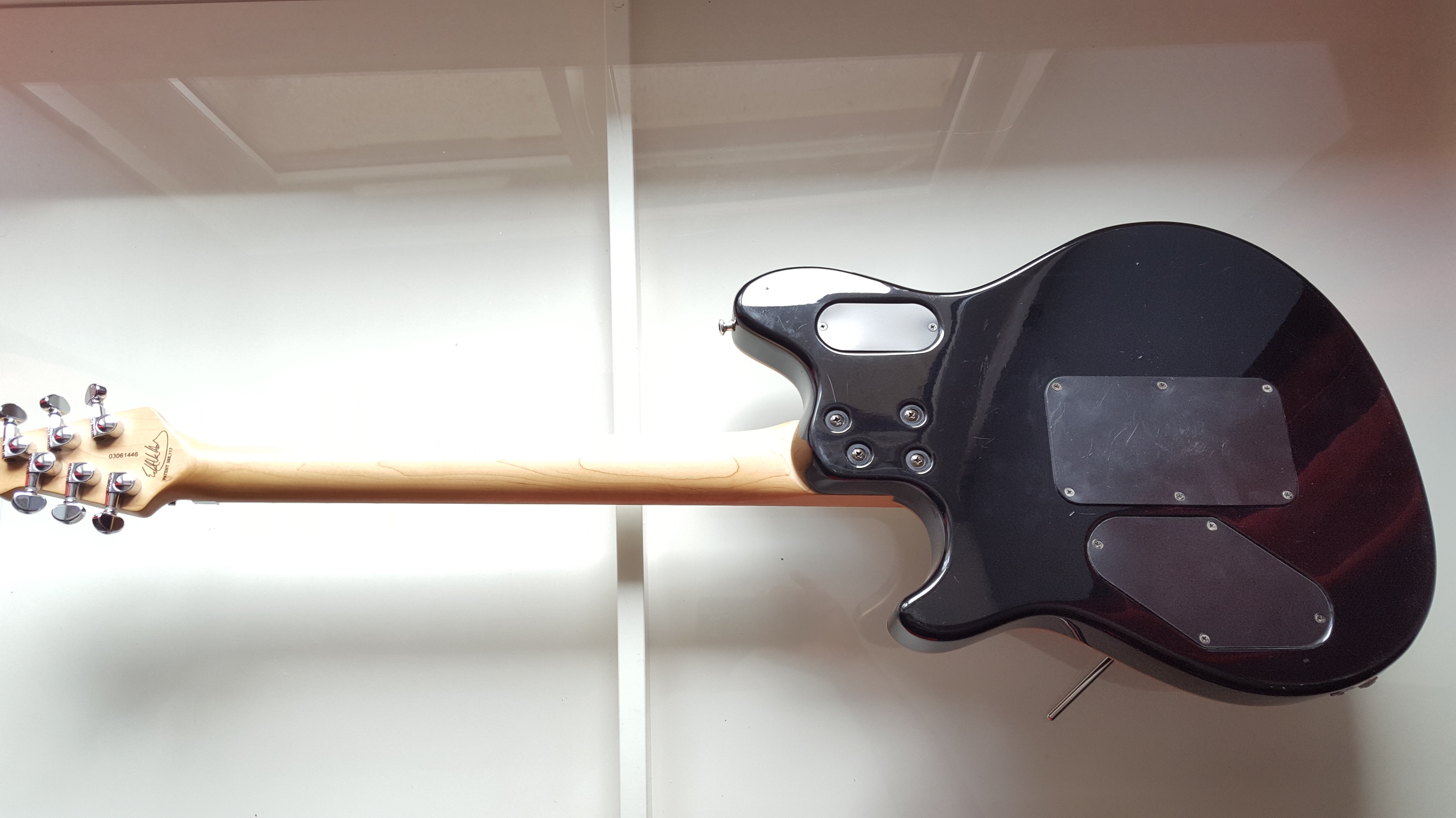 peavey-wolfgang-special-exp-2372637.jpg