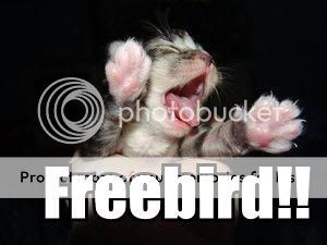 freebird_mini.jpg