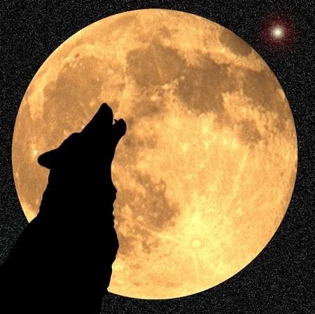BarkAtTheMoon.jpg