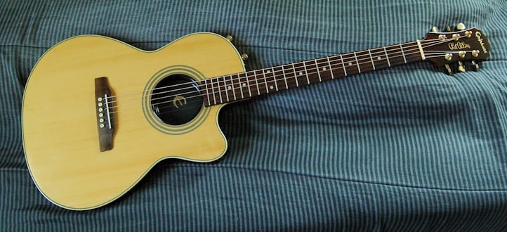 Epiphone%20SST%20Custom-1.jpg