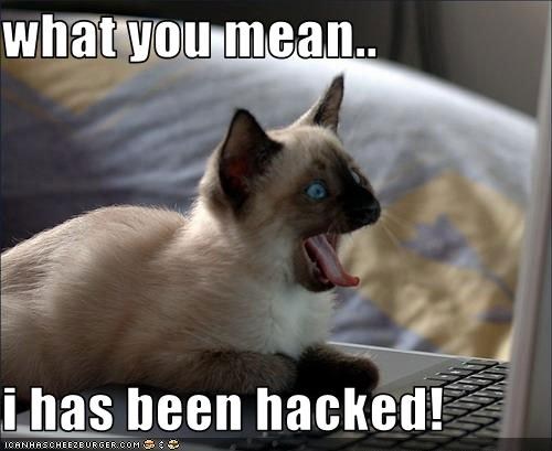 lolcat_hacked.jpeg