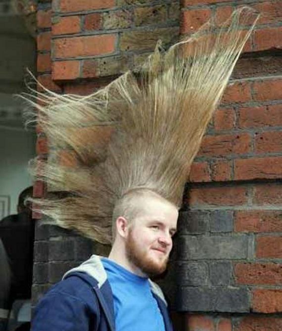 156164,xcitefun-odd-haircuts08-display.jpg
