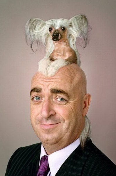 dog_hat2.jpg