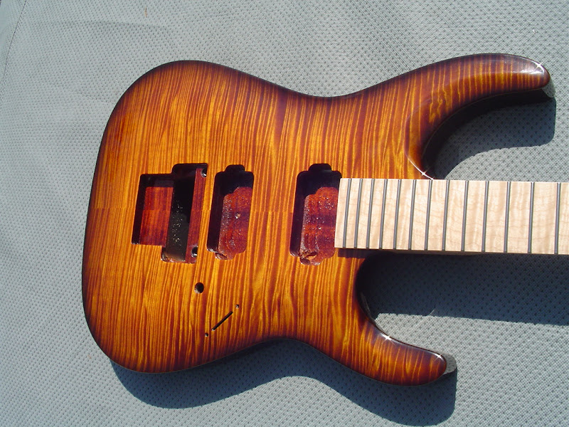 Soloist%20001.JPG