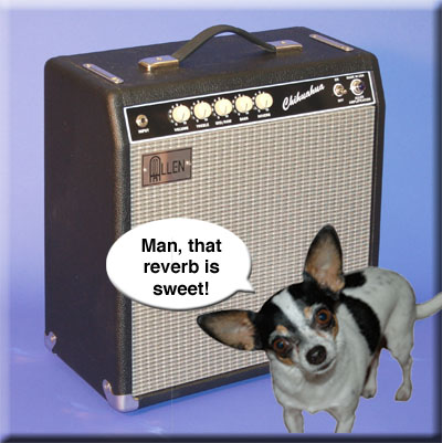 chihuahua_talk.jpg
